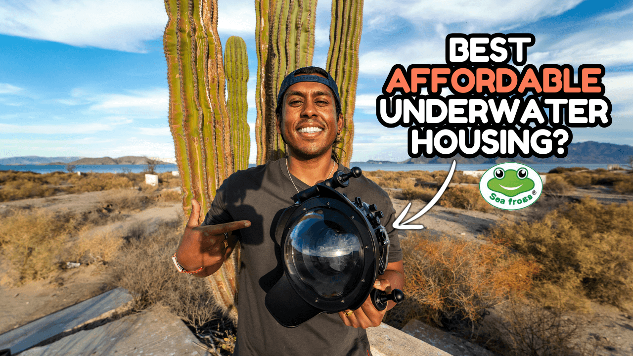 🐠 The Perfect Beginner Underwater Camera Housing for New Shooters