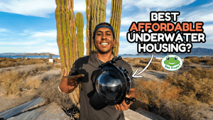 🐠 The Perfect Beginner Underwater Camera Housing for New Shooters