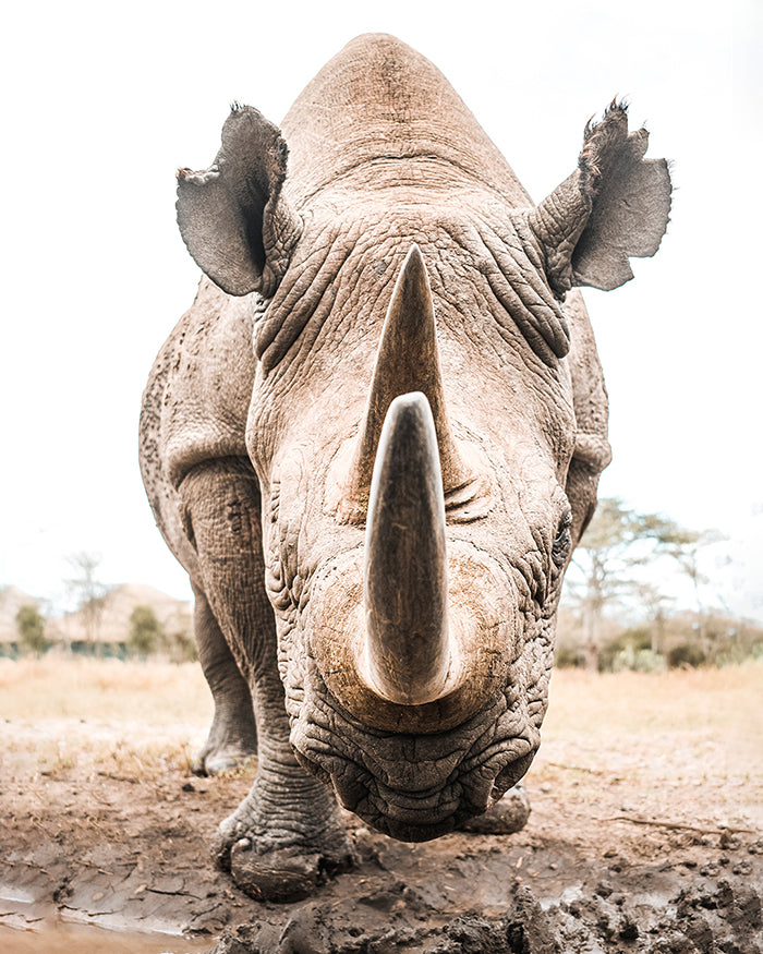 K E N Y A - An African Adventure