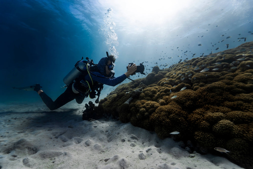 Underwater Photography for Beginners: The Complete Guide