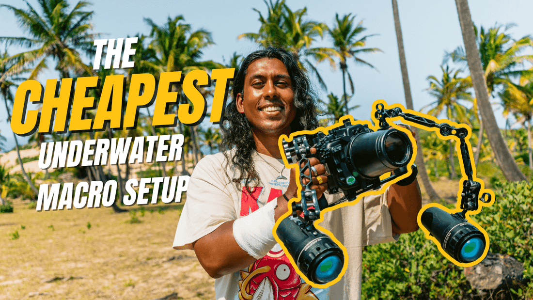 Affordable Underwater Macro Photography Setup (Best Budget Rig in 2025)