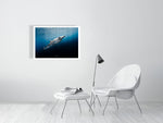 Load image into Gallery viewer, 10016060-4212444
