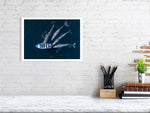 Load image into Gallery viewer, 9893591-4210404
