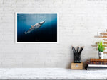 Load image into Gallery viewer, 10016060-4212442
