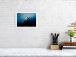 Load image into Gallery viewer, 10016060-4212441

