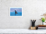 Load image into Gallery viewer, 9864339-4210448
