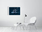 Load image into Gallery viewer, 9893591-4210406
