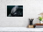 Load image into Gallery viewer, 10016054-4212451
