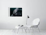 Load image into Gallery viewer, 10016054-4212453
