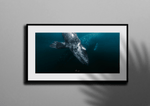 Load image into Gallery viewer, Eye Contact
