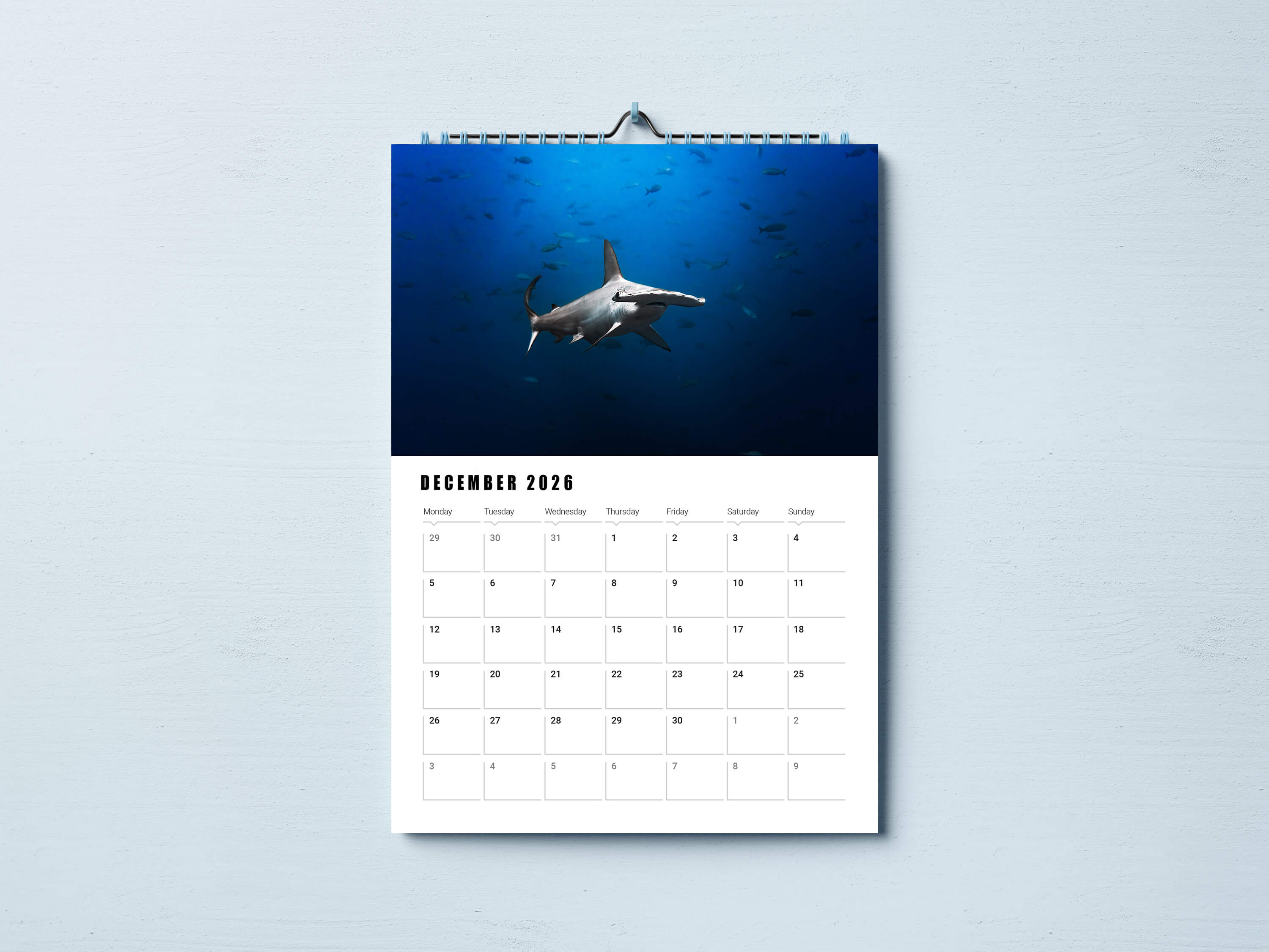 Limited Edition 2026 Underwater Wildlife Calendar - PRE ORDER