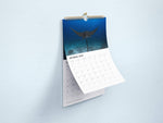 Load image into Gallery viewer, Limited Edition 2026 Underwater Wildlife Calendar - PRE ORDER
