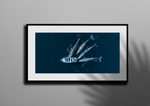 Load image into Gallery viewer, Curious Giants
