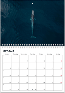 Limited Edition 2024 Wildlife Calendar - PRE ORDER