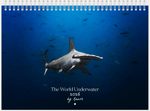 Load image into Gallery viewer, Limited Edition 2026 Underwater Wildlife Calendar - PRE ORDER

