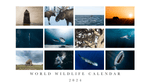 Load image into Gallery viewer, Limited Edition 2024 Wildlife Calendar - PRE ORDER

