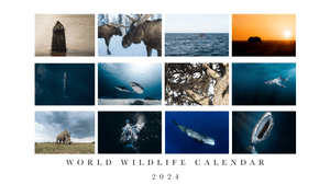 Limited Edition 2024 Wildlife Calendar - PRE ORDER