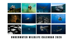 Load image into Gallery viewer, Limited Edition 2026 Underwater Wildlife Calendar - PRE ORDER
