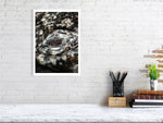 Load image into Gallery viewer, 9864337-4210435
