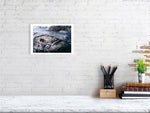 Load image into Gallery viewer, 10016053-4212454

