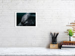 Load image into Gallery viewer, 10016054-4212450
