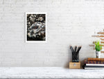 Load image into Gallery viewer, 9864337-4210434
