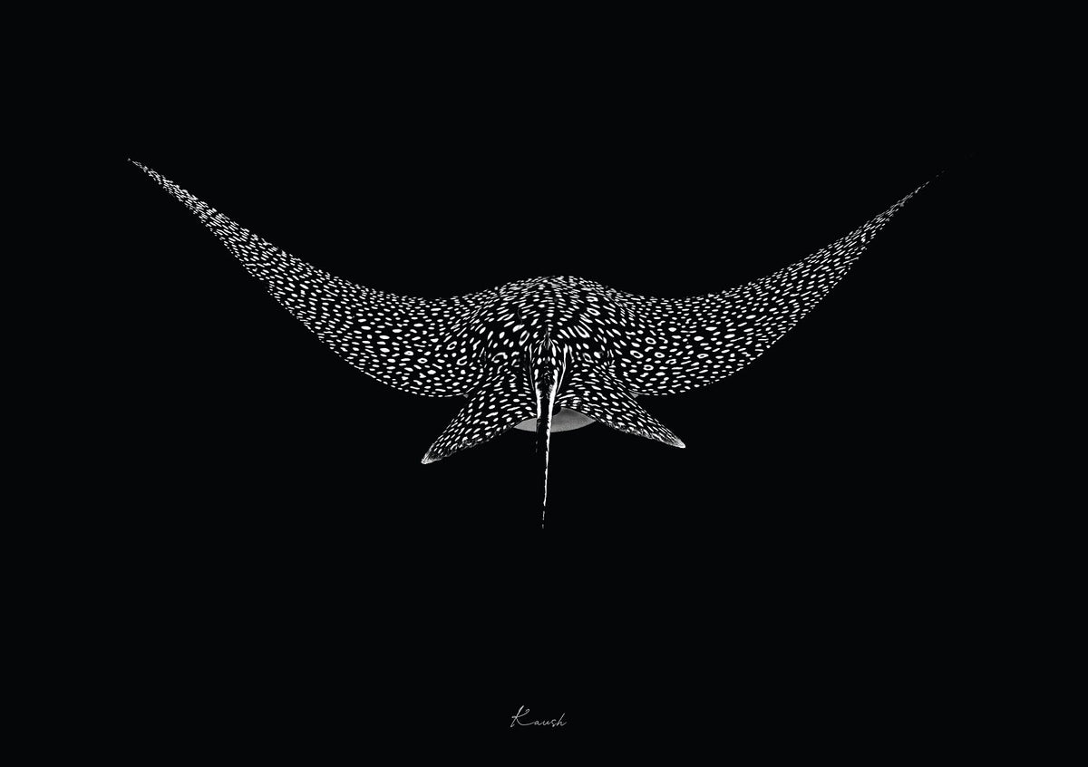 Patterns In The Deep