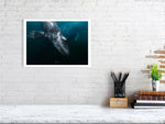 Load image into Gallery viewer, 10016051-4212459
