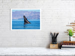 Load image into Gallery viewer, 9864339-4210449
