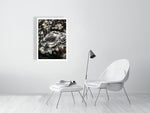 Load image into Gallery viewer, 9864337-4210437
