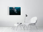 Load image into Gallery viewer, 10016051-4212461
