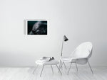 Load image into Gallery viewer, 10016054-4212452
