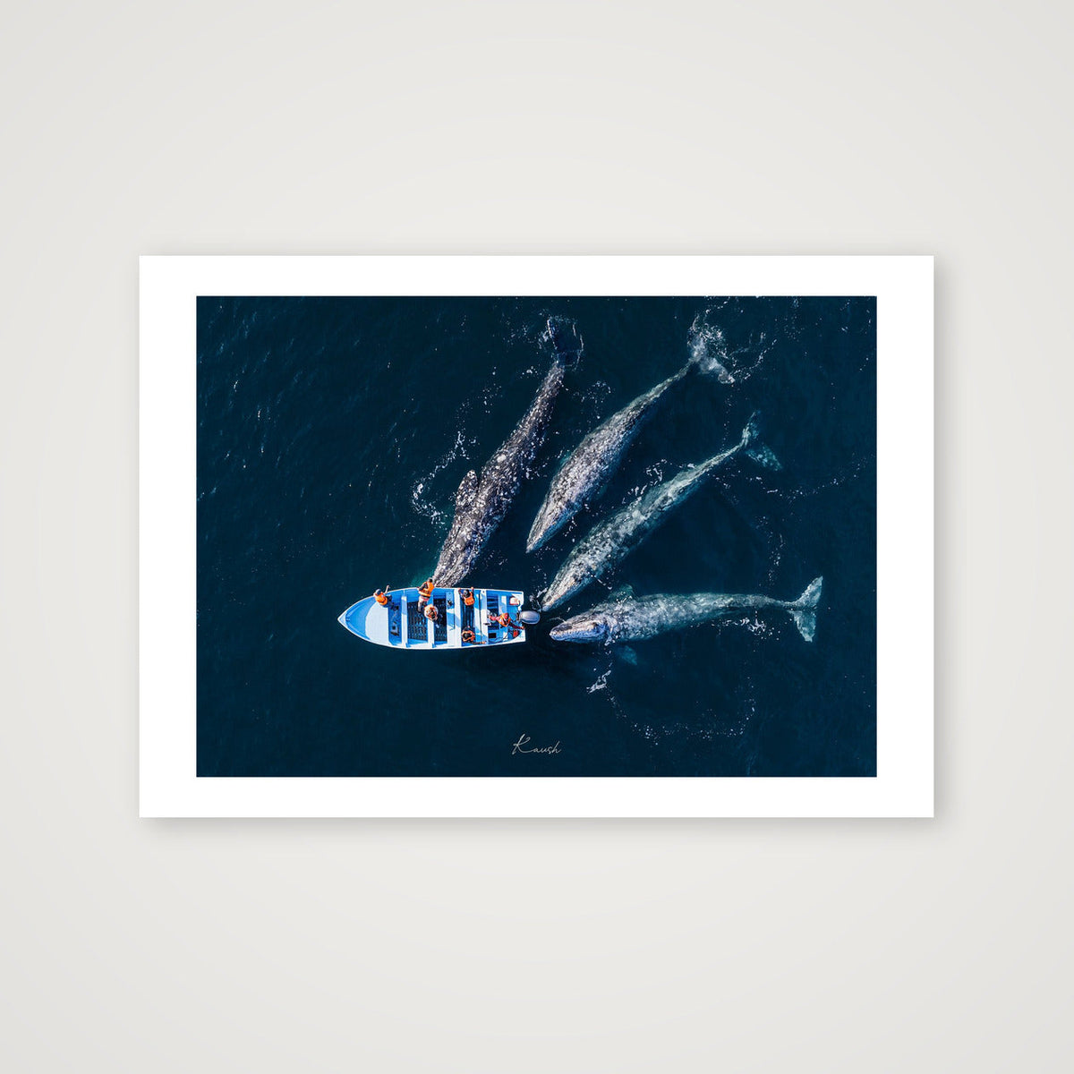 Curious Giants — A4 (30×21cm, 12×8") Print only