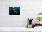 Load image into Gallery viewer, 10016051-4212458
