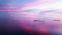 Twilight