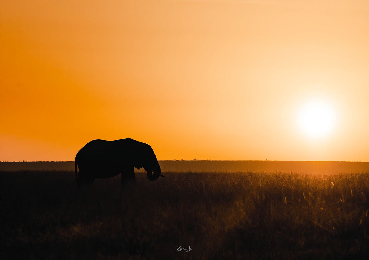Daybreak