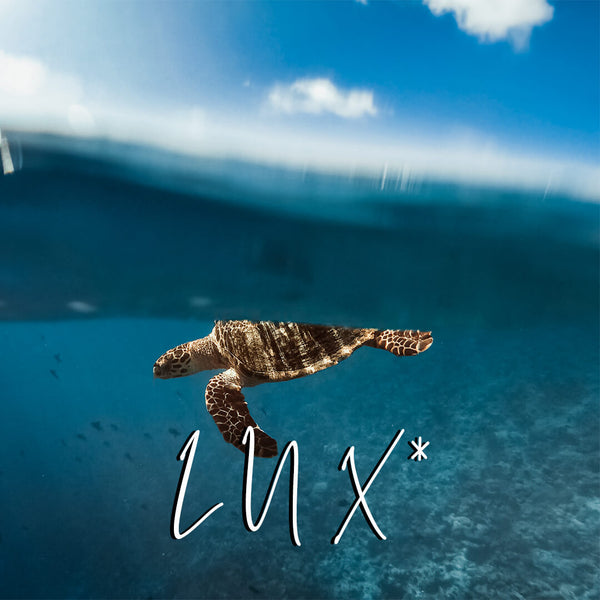 Lightroom Underwater Preset - 'LUX*' Split Shot Preset for