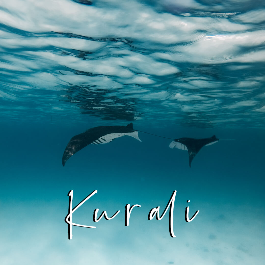 'Kurali' Sand Preset for Underwater Photo Editing