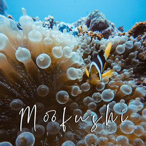 'Moofushi' Reefs Preset for Underwater Photo Editing