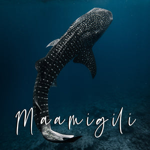 'Maamigili' Moody Preset for Underwater Photo Editing