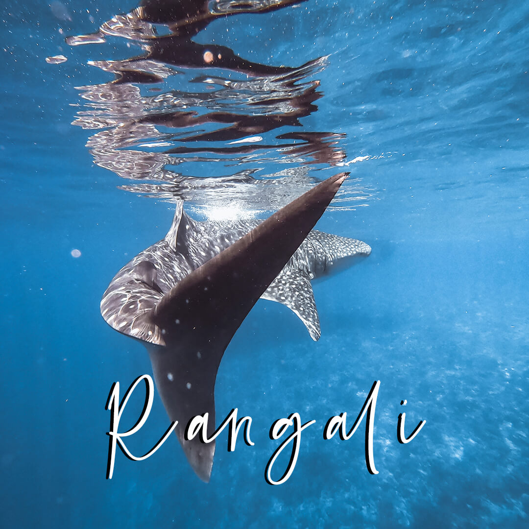 'Rangali' Light Preset for Underwater Photo Editing