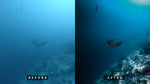 Load image into Gallery viewer, &#39;Miyaru&#39; Deep Water Preset for Underwater Photo Editing
