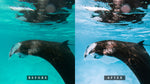 Load image into Gallery viewer, &#39;Rangali&#39; Light Preset for Underwater Photo Editing
