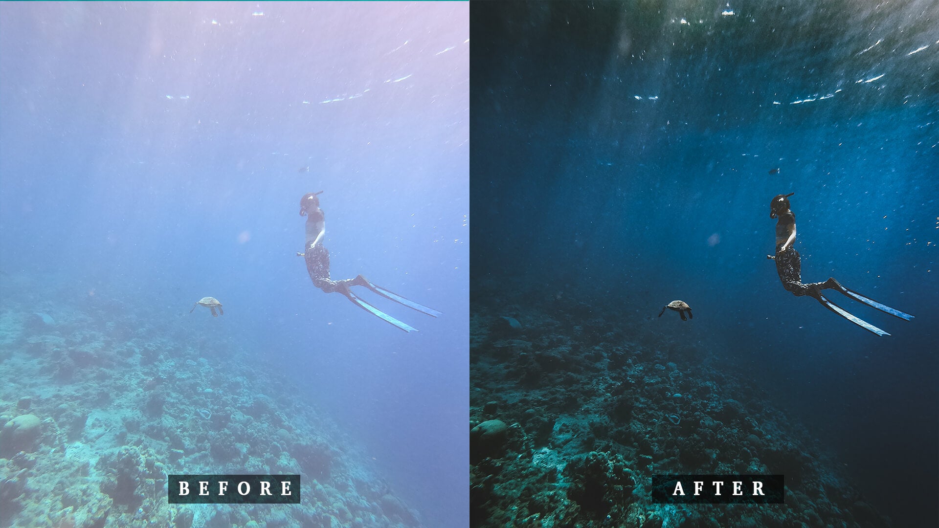 'Maamigili' Moody Preset for Underwater Photo Editing