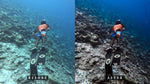 Load image into Gallery viewer, &#39;Miyaru&#39; Deep Water Preset for Underwater Photo Editing
