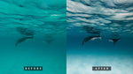 Load image into Gallery viewer, &#39;Kurali&#39; Sand Preset for Underwater Photo Editing
