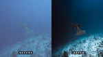 Load image into Gallery viewer, Underwater Preset Bundle Lightroom Desktop + Mobile
