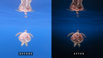 Load image into Gallery viewer, &#39;Maamigili&#39; Moody Preset for Underwater Photo Editing
