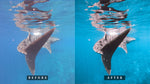 Load image into Gallery viewer, &#39;Rangali&#39; Light Preset for Underwater Photo Editing
