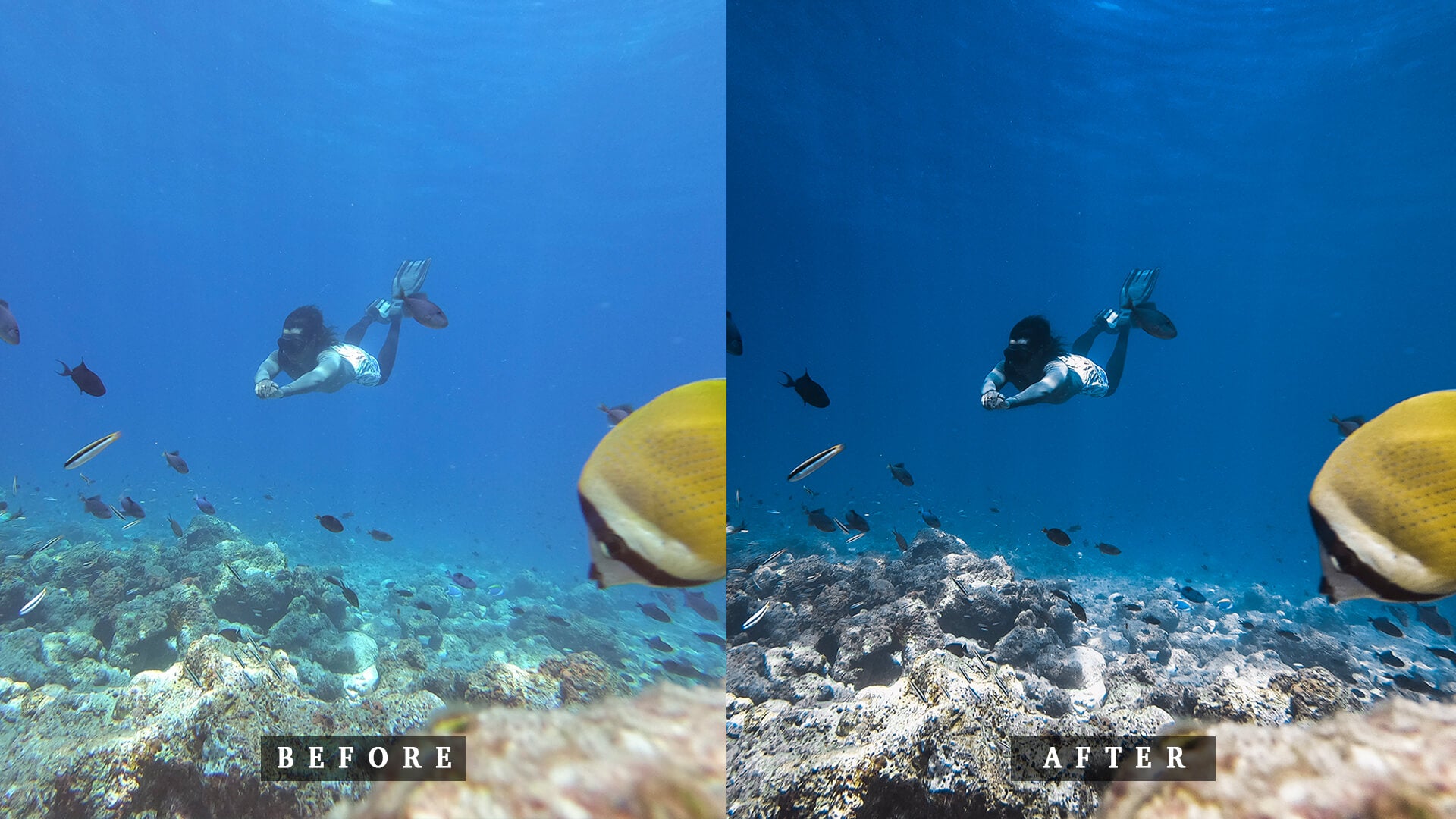 'Fenfushi' Open Water Preset for Underwater Photo Editing